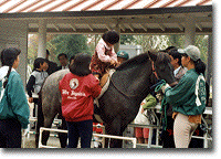 平成9年度研修会 乗馬訓練の様子